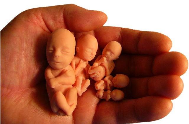 Copiii viitorului vor avea TREI parinti: SUA vor sa aprobe fertilizarea in vitro cu trei tipuri de ADN