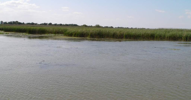 Alte tensiuni intre Romania si Ucraina legate de canalul Bistroe