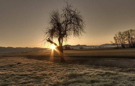 Seceta a distrus 10 milioane de hectare de teren agricol in Rusia