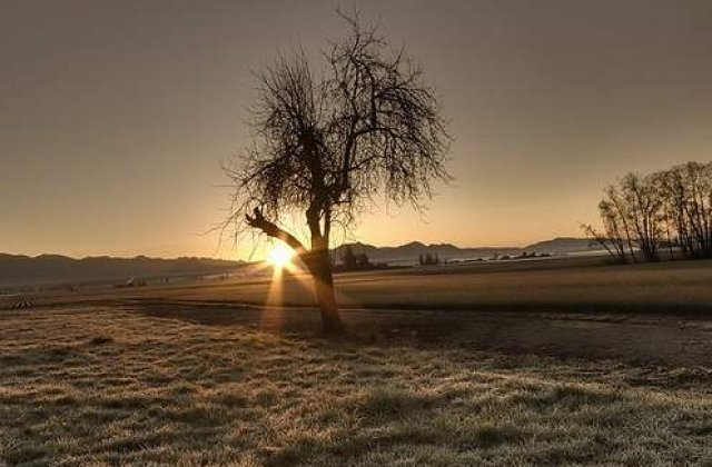 Seceta a distrus 10 milioane de hectare de teren agricol in Rusia