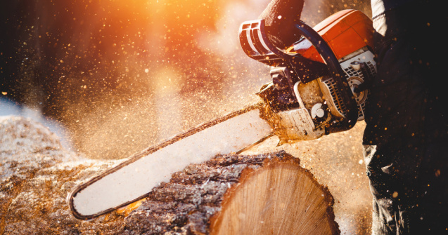 Scene de groază la Sibiu. Un bărbat l-a alergat pe alt bărbat cu drujba pornită