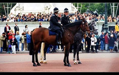 Politia britanica stie unde si cand vor avea loc infractiuni