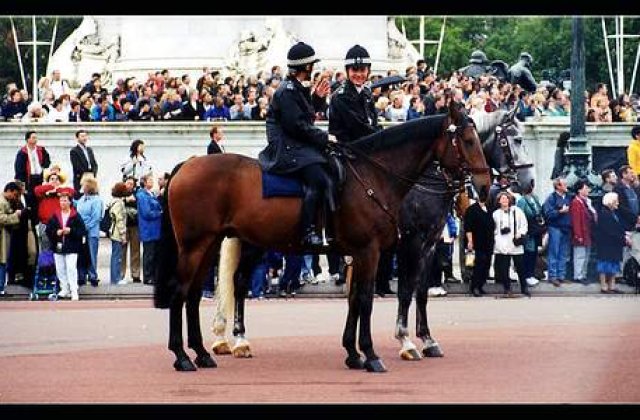 Politia britanica stie unde si cand vor avea loc infractiuni