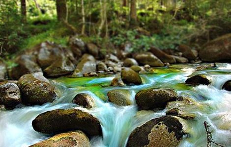 Inundatiile au facut ravagii in judetul Covasna