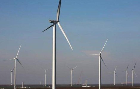 Erste, BCR si BERD crediteaza cu 76 mil. euro un parc eolian din Dobrogea