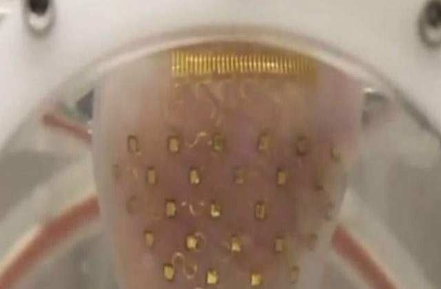 [VIDEO] Descoperire revolutionara in medicina: Membrana artificiala pentru mentinerea batailor inimii