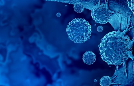 Scade tensiunea şi previne cancerul. Alimentul magic care asigură sănătatea întregului organism