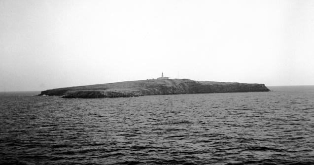 Ministerul de Interne: Insula Șerpilor, în mâinile Rusiei. Toți polițiștii de frontieră din zonă au fost uciși