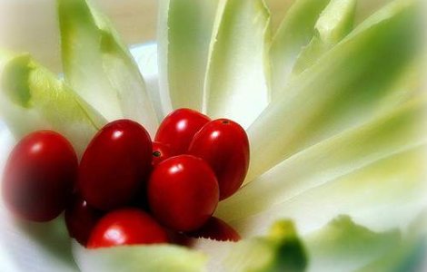 Dieta de vara: Must-know!