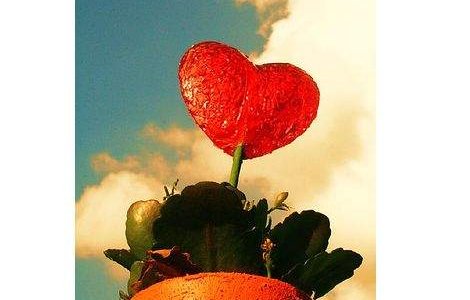 "Ai grija de inima ta!"