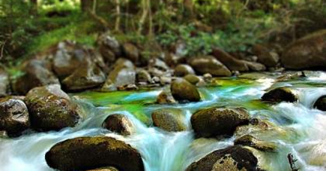 Cum ajuta Guvernul sinistratii?