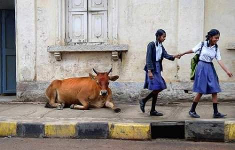 Bollywood-ul ameninta Hollywood-ul