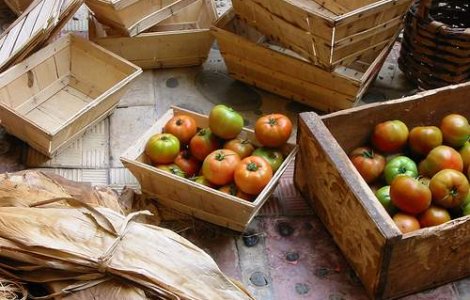  Video  Agricultorii vor paraliza tara in toamna