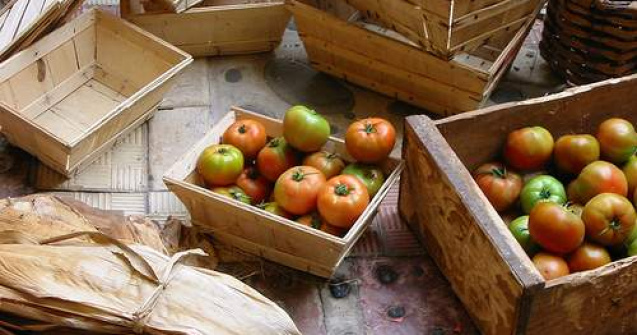  Video  Agricultorii vor paraliza tara in toamna