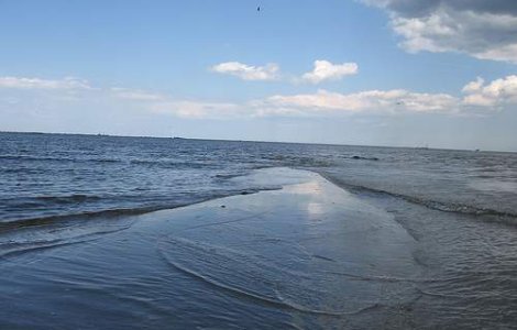 "Dragonul de mare" continua sa faca victime