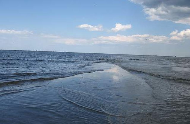 "Dragonul de mare" continua sa faca victime