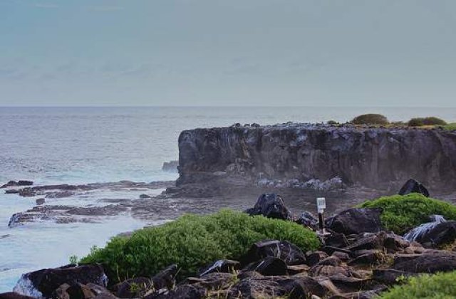 Insulele Galapagos nu mai sunt in pericol