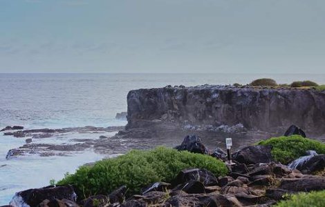 Insulele Galapagos nu mai sunt in pericol