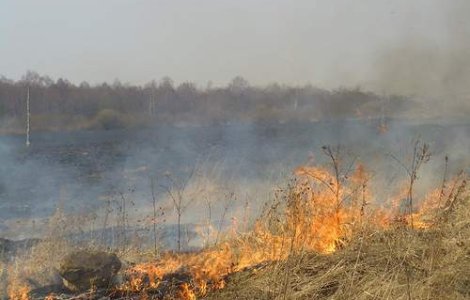 Canicula incendiaza Rusia