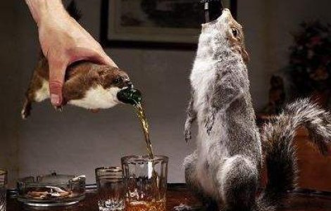 Cea mai ciudata bere din lume, servita in hermina moarta