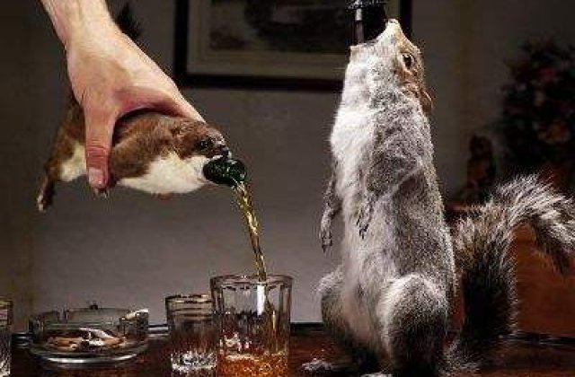 Cea mai ciudata bere din lume, servita in hermina moarta