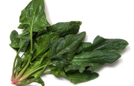 Studiu: O pulbere extrasa din spanac atenueaza senzatia de foame