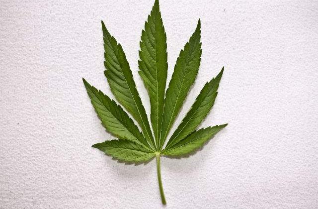 Colorado: Taxe de 2 mil. dolari, in prima luna de la legalizarea marijuanei