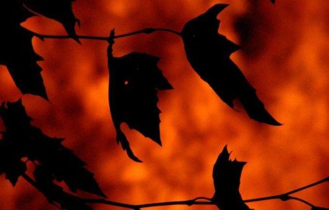 Tragedie aviatica in Alaska