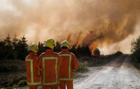 Bilantul incendiilor provocate de canicula din Rusia