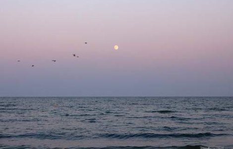 Fluviu descoperit sub Marea Neagra