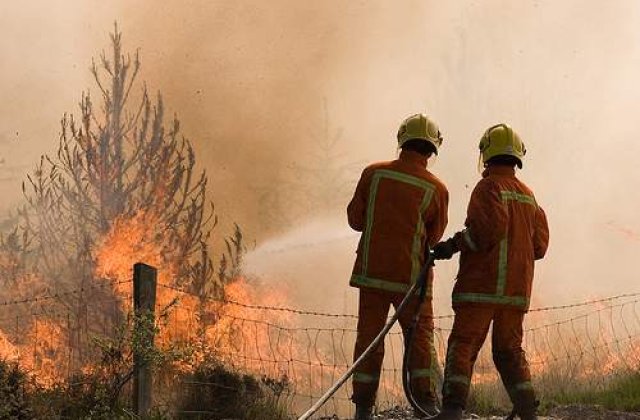 Incendiile de padure continua sa se extinda in Rusia