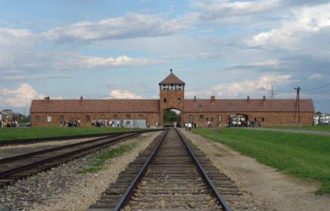 Monede folosite pentru tatuarea detinutilor, gasite la Auschwitz
