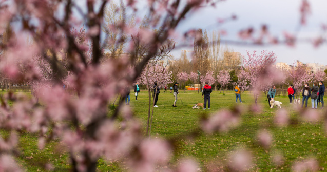 Incidența COVID din Capitală a scăzut până la 13.41 cazuri la mia de locuitori