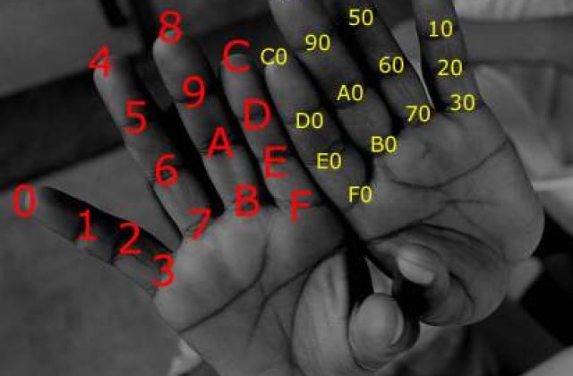 Ghicitul in degete si personalitatea