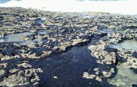 Poluare cu petrol in Marea Neagra