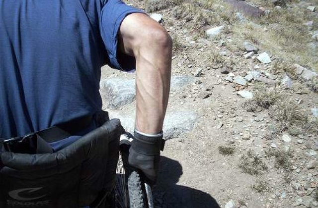 Cat a castigat Guvernul din anularea ajutoarelor sociale nejustificate?