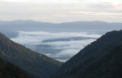 Un cutremur puternic a zguduit Papua Noua Guinee