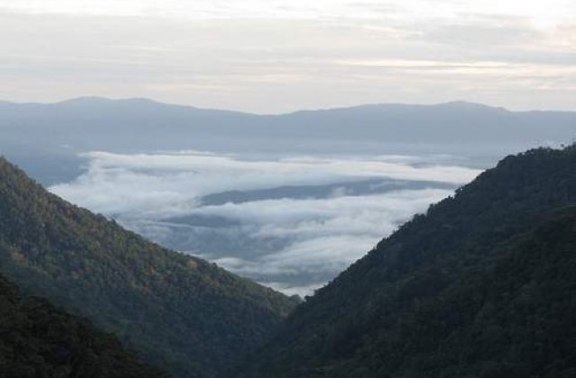 Un cutremur puternic a zguduit Papua Noua Guinee