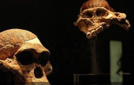  Foto  Descoperirea care ar putea schimba orice stiam despre OM