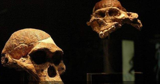  Foto  Descoperirea care ar putea schimba orice stiam despre OM