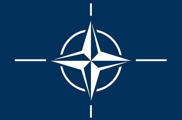 NATO, atacat de hackerii de la CyberBerkut