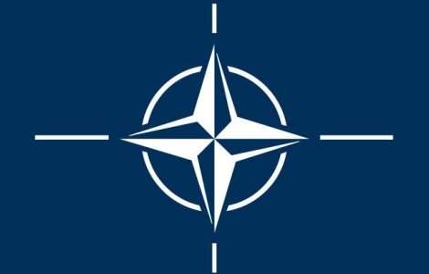 NATO, atacat de hackerii de la CyberBerkut