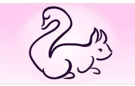  Top  Test: Animalul pe care îl observi primul va dezvălui ceva nou despre tine