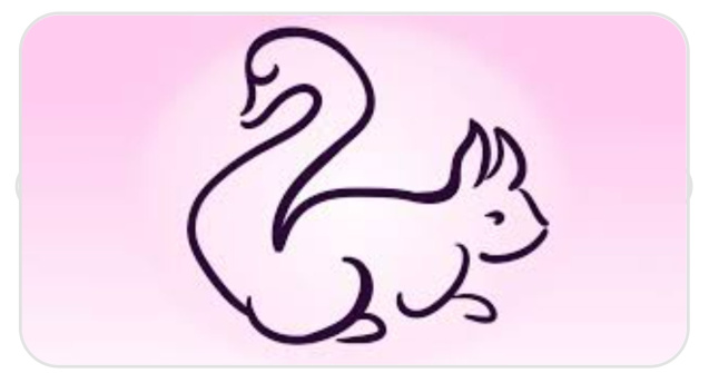  Top  Test: Animalul pe care îl observi primul va dezvălui ceva nou despre tine