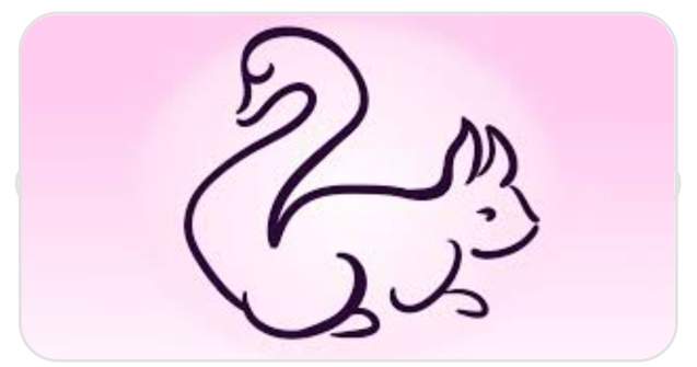  Top  Test: Animalul pe care îl observi primul va dezvălui ceva nou despre tine