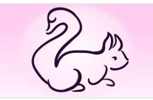 Test: Animalul pe care &icirc;l observi primul va dezvălui ceva nou despre tine