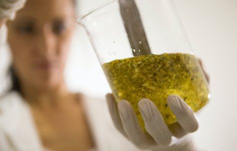  Top  Ce este „antibioticul rusesc” și care sunt beneficiile sale