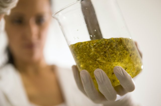 Ce este &bdquo;antibioticul rusesc&rdquo; și care sunt beneficiile sale 