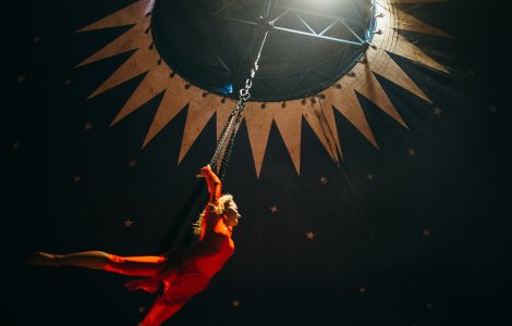 VIDEO O acrobată de 25 de ani a căzut de la înălțime la un circ din Satu Mare