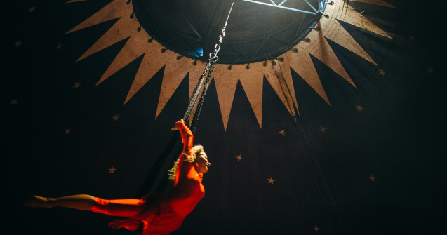 VIDEO O acrobată de 25 de ani a căzut de la înălțime la un circ din Satu Mare